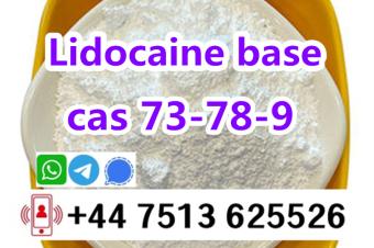 cas 137586 Lidocaine base to europe safety